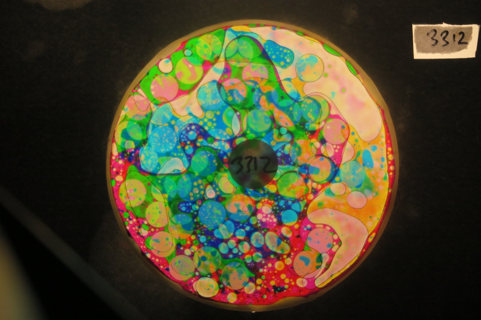 BV3312 bubble vision oil wheel